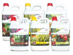 Distributor Pupuk Organik