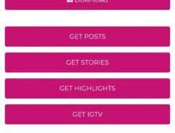 Menggunakan IG Downloader