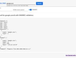Menggunakan Server DNS Google