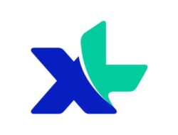 XL 