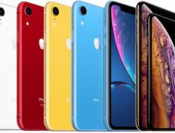 iPhone XR