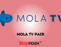 Mola TV Pair Solusi Streaming TV Dengan Kualitas Tinggi