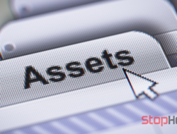 Panel Asset