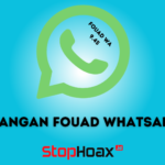 Kelebihan dan Kekurangan Fouad WhatsApp yang Perlu Diketahui