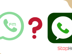 Mana yang lebih baik FM WhatsApp atau WhatsApp Resmi