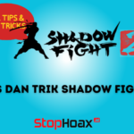 Tips dan Trik Bermain Shadow Fight 2 Special Edition di Android untuk Pemula