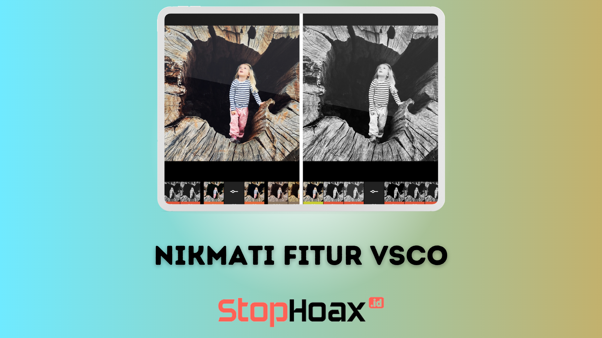 Nikmati Fitur VSCO Aplikasi yang Populer di Android dan iOS (1)